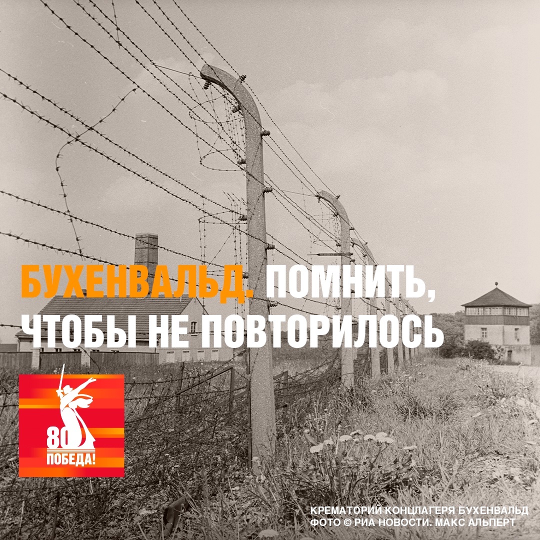Одним из самых страшных явлений войны были концентрационные лагеря.