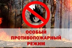 Об установлении особого противопожарного режима в лесах,  об ограничении пребывания граждан в лесах и въезда в них транспортных средств и проведения в лесах определенных видов работ в целях обеспечения пожарной безопасности в лесах на территории Кировской.